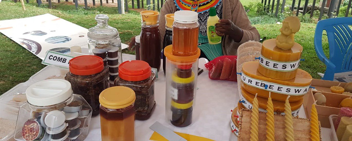 71913ac2 C5af 4e76 9a06 077b6069942b